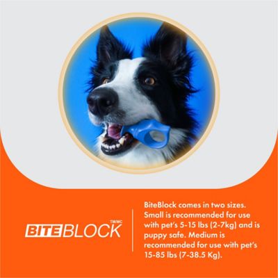 Image showing  Dog Toothbrush Assistant, Bite Block for Small Dog or Cat, Orange