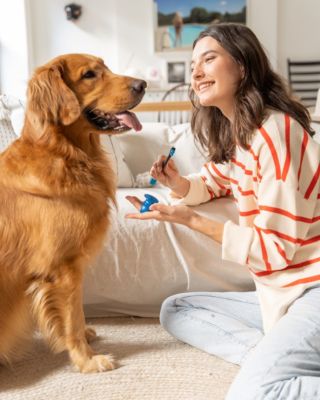 Image showing 5 th Paw Ready Dog Toothbrush Assistant, Bite Block for Small Dog or Cat, Orange