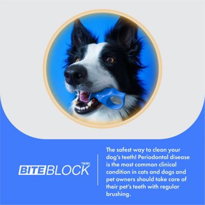 Image showing  Dog Toothbrush, Dog Bite Block Assistant Bundle for Medium Dog or Cat, Blue