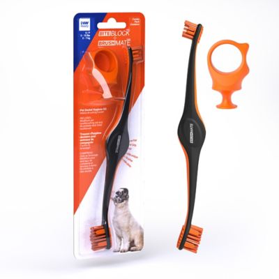 Paw Ready Dog Toothbrush, Dog Bite Block Assistant Bundle for Small Dog or Cat, Orange