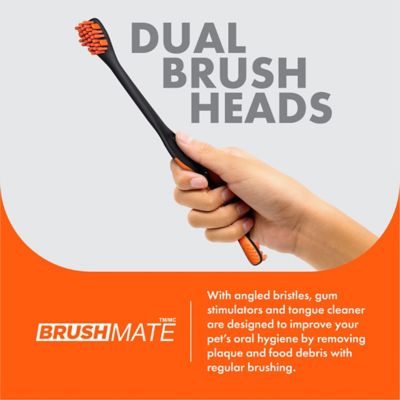 Image showing  Dog Toothbrush by Paw Ready Brushmate for Dogs and Cats, Orange