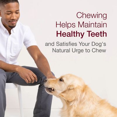 Image showing 6 th SmartBones Chicken SmartSticks Dog Treats