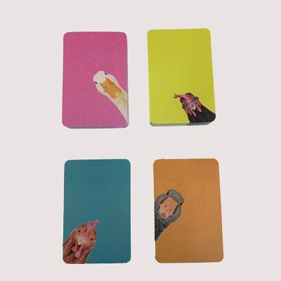 Bella Bug Photo Animal Dc Sticky Notes, 4 Pk.