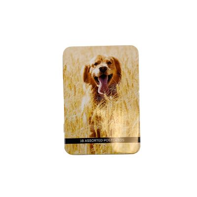 Bella Bug Photo Animal Blank Cards In Tin Box, 18 Ct.