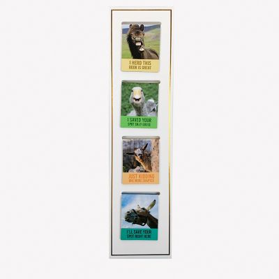 Bella Bug 8 pk. Magnetic Bookmarks