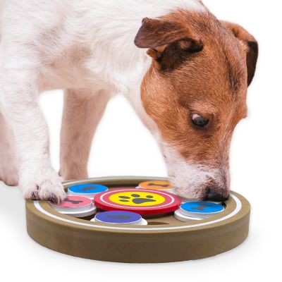 Image showing  Disc-O Interactive Pet Toy
