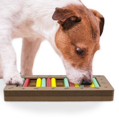 Image showing  Rollie Pollie Interactive Pet Toy