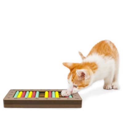 Image showing  Rollie Pollie Interactive Pet Toy