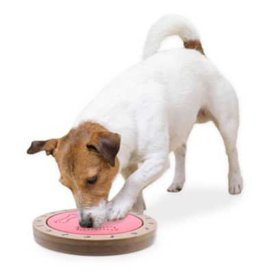 Image showing  Spin-O-Rama Interactive Pet Toy