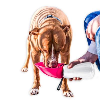 Image showing  26 oz. Fold-A-Bowl Portable Pet Water Bottle & Bowl, Pink