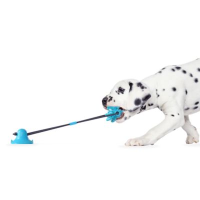 Image showing  Ruff & Ready Solo Dog Pull & Chew Toy