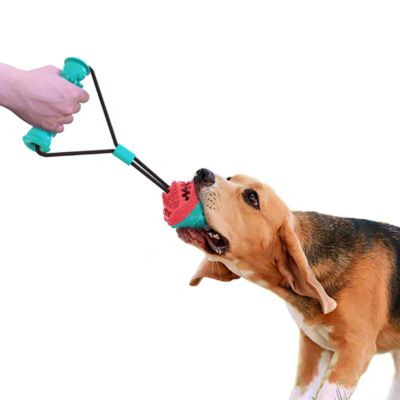 Image showing  Ruff & Ready Duo Dog Pull & Chew Toy