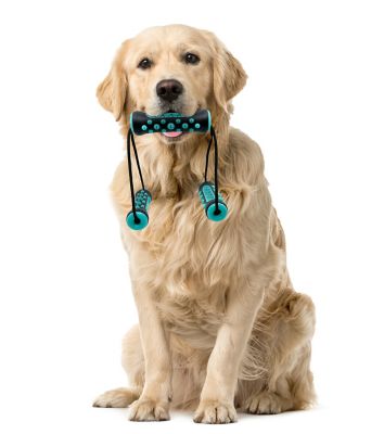 Image showing  Ruff & Ready Trio Dog Pull & Chew Toy