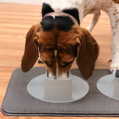 Image showing  Ears Clear Pet Feeding Station