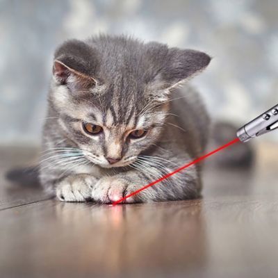 Image showing  3-in-1 Laser Pet Toy, 2 pk.