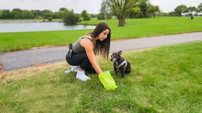 Image showing  Doggie Doo All Bag Dispenser and Tactical Flashlight