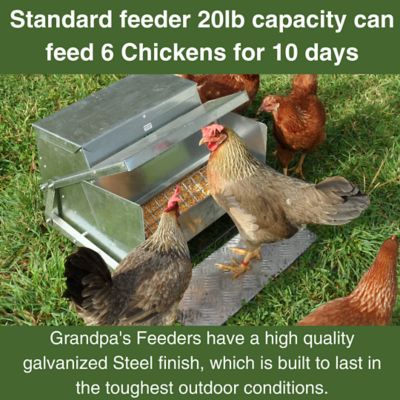Image showing  20 lb. The Original and Genuine Automatic Chicken Feeder, Standard