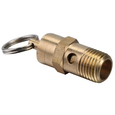 Bulldog Winch Safety Valve 250 psi 1/4 in. NPT