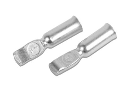 Image showing  Terminals 50A x 6AWG, 1 pr.