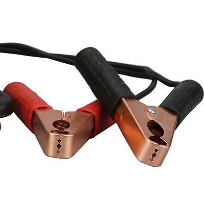 Image showing 6 th Bulldog Winch 0.25 gal. Portable Air Compressor, 150 PSI, 2.5 CFM