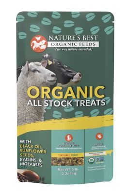Nature's Best Organic All Stock Treats with Black Oil Sunflower Seeds, Raisins, & Molasses