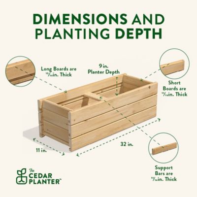 Image showing  Cedar Wood Planter Box