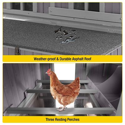 Image showing 5 th Aivituvin Extra-Large Chicken Coop with Big Wheels, 6 to 8 Chicken Capacity