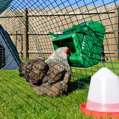 Image showing  11 lb. Wise Mountable Feeder for Poultry & Gamebird