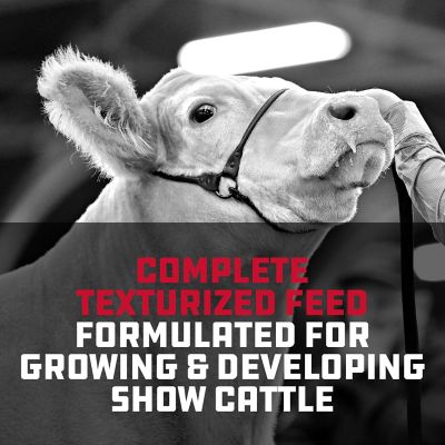 Image showing  Show Cattle Elevate Cattle Feed, 50 lb.