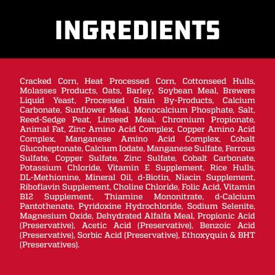 Image showing 6 th Kent Show Cattle Elevate Cattle Feed, 50 lb.