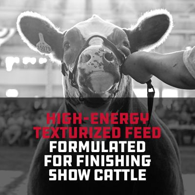 Image showing  Show Cattle Red Line Cattle Feed, 50 lb.