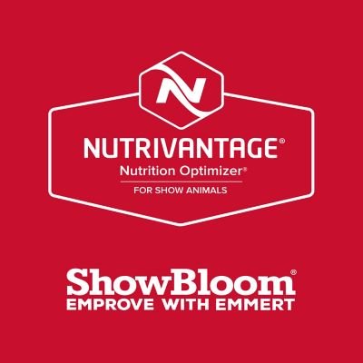 Image showing  Show Cattle Red Line Cattle Feed, 50 lb.