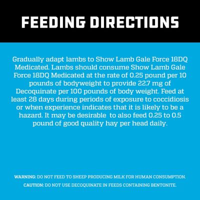Image showing  Show Lamb Gale Force 18DQ Lamb Feed