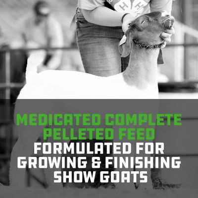 Image showing  Show Goat Full Bore 20R Goat Feed