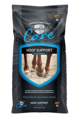 Blue Seal Sentinel Care Hoof Support