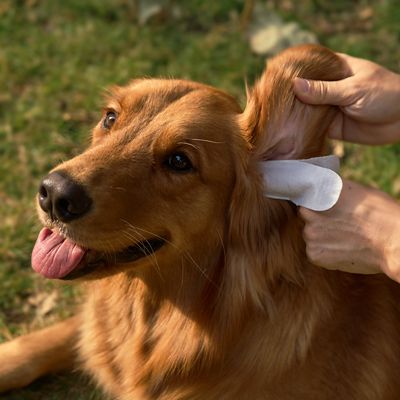 Image showing  Pet Ear Relief Finger Wipes