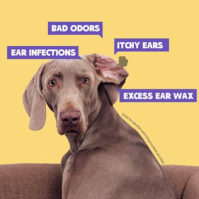 Image showing  Pet Ear Relief Finger Wipes