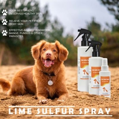 Image showing  4 oz. Lime Sulfur Spray - Pet Care for Itchy & Dry Skin