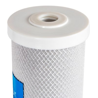 Image showing  Whole Home UV Rack Carbon Filter, 20 in.