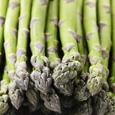 Van Zyverden GMO Free Asparagus Mary Washington, Set of 3 Roots