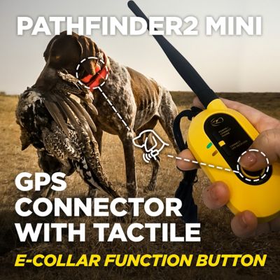 Image showing 5 th Dogtra PATHFINDER2 MINI GPS Dog Tracking and Training System
