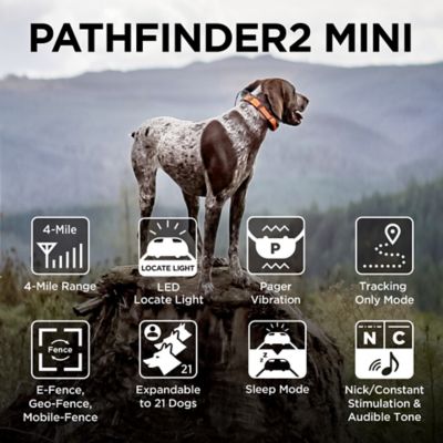 Image showing  PATHFINDER2 MINI ADDITIONAL RECEIVER BLACK GPS Tracker e-Collar