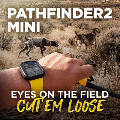 Image showing 8 th Dogtra Pathfinder2 Mini Additional Receiver Black Gps Tracker E-Collar