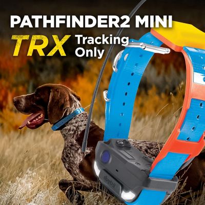 Image showing  PATHFINDER2 MINI TRX ADDITIONAL RECEIVER BLUE GPS-Only Tracking Collar