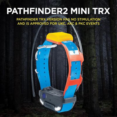 Image showing 5 th Dogtra PATHFINDER2 MINI TRX ADDITIONAL RECEIVER BLUE GPS-Only Tracking Collar