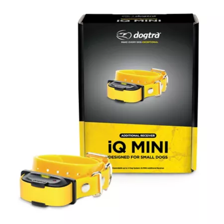 Dogtra iQ MINI Additional Receiver Golden Yellow Electronic Collar Dog Training Collars