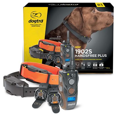 Dog training collars at tractor supply hotsell