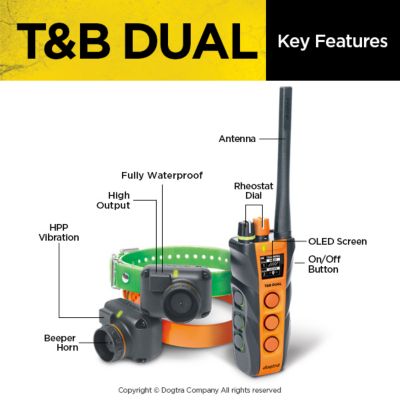 Image showing  T&B Dual 2-Dog Remote Training E-Collar