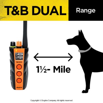 Image showing  T&B Dual 2-Dog Remote Training E-Collar