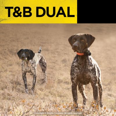 Image showing 7 th Dogtra T&B Dual 2-Dog Remote Training E-Collar